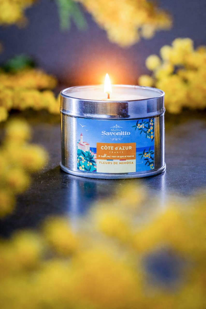 Kerze Mimosa X Côte d'Azur Frankreich