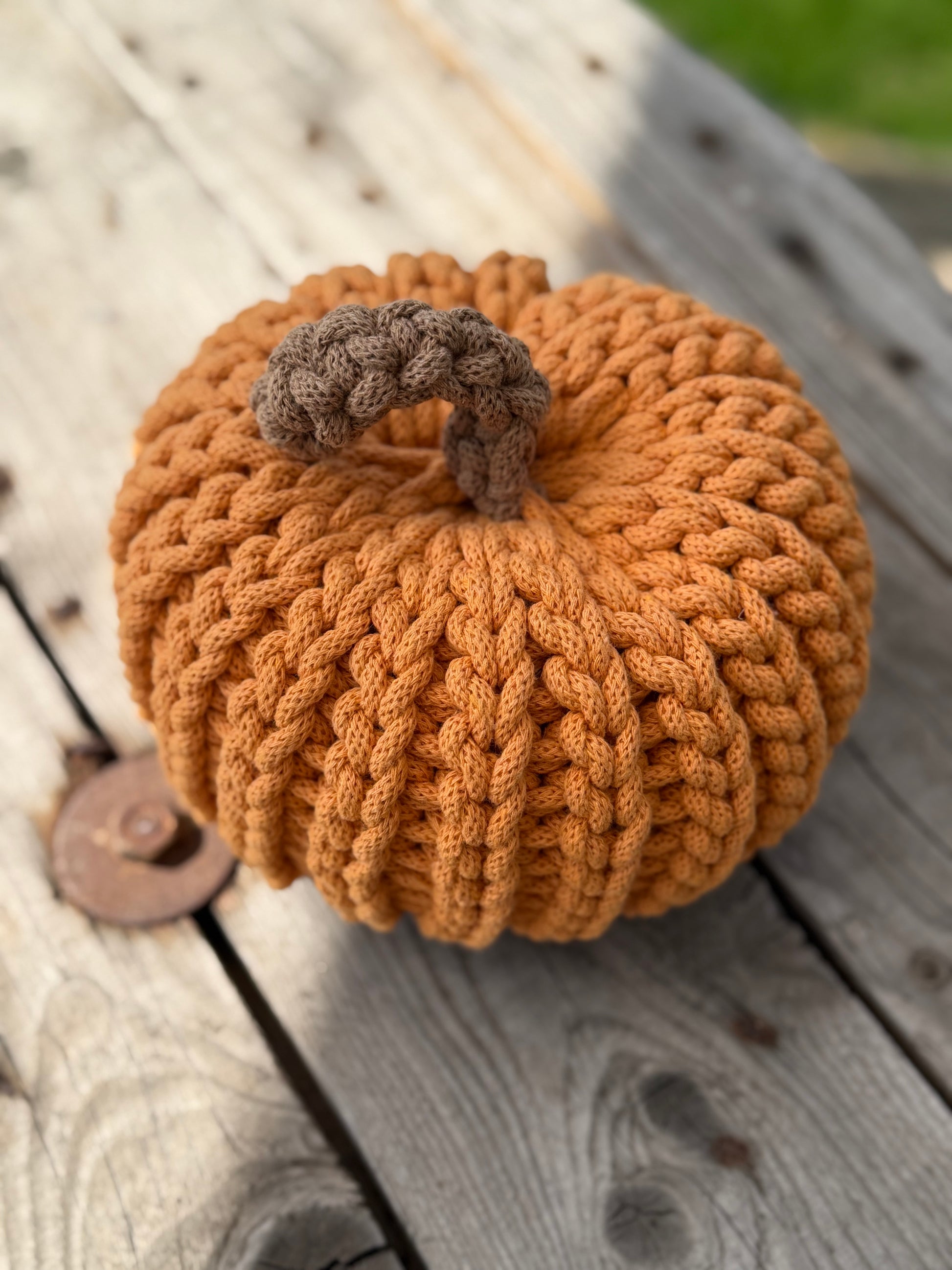 Kürbisse 🎃