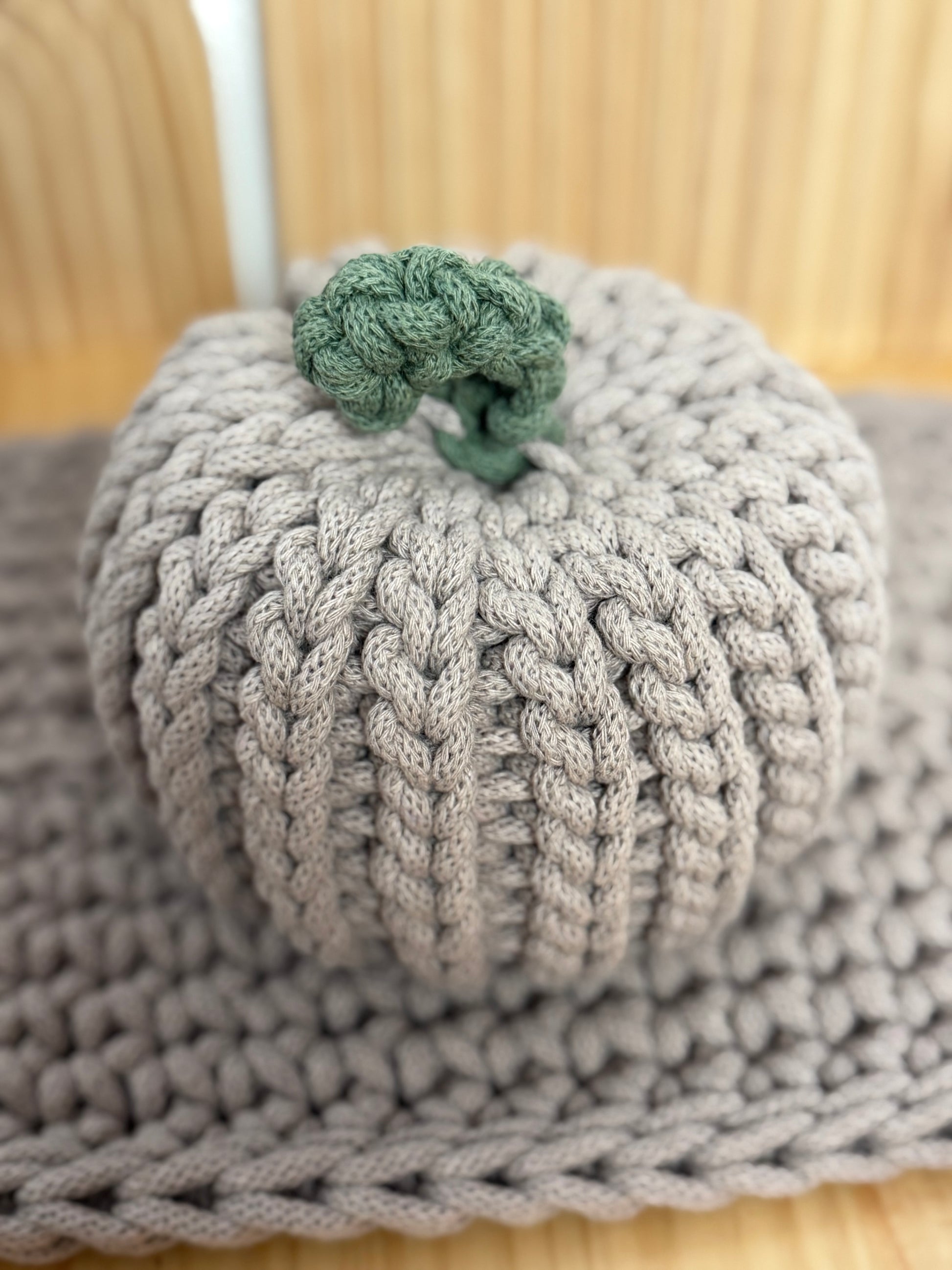 Kürbisse 🎃