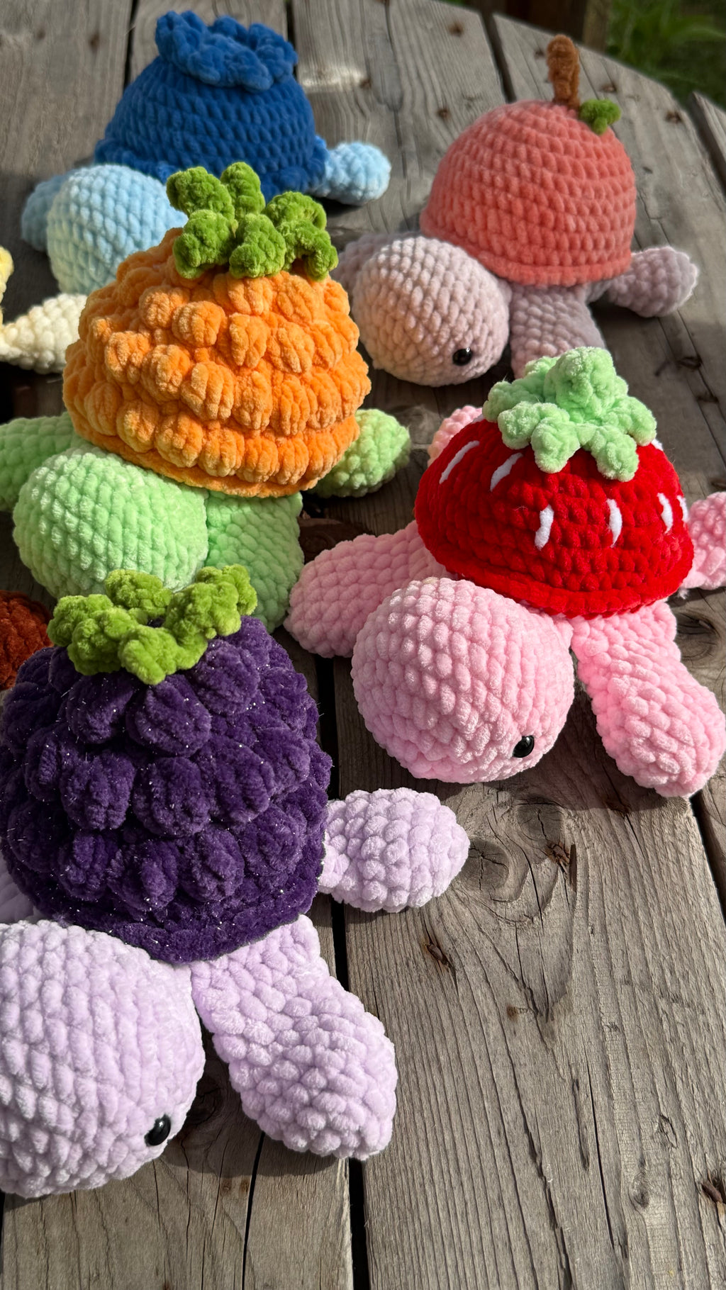 🐢🍓 Frucht-Schildkröte – Süß, fruchtig und einzigartig