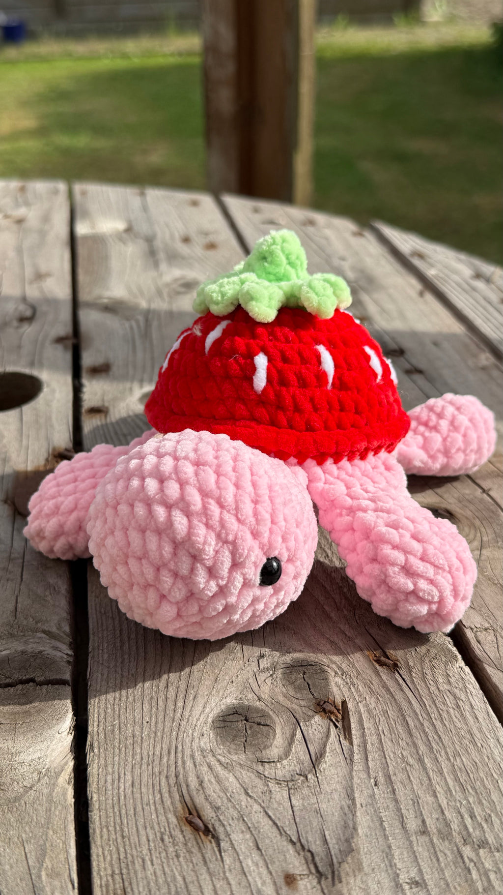 🐢🍓 Frucht-Schildkröte – Süß, fruchtig und einzigartig