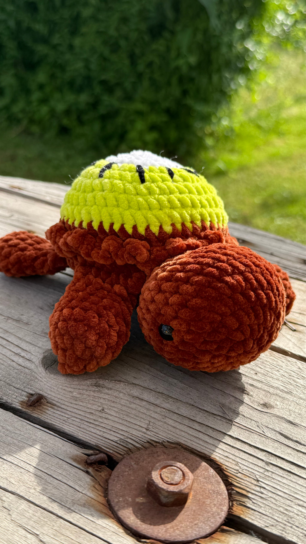 🐢🍓 Frucht-Schildkröte – Süß, fruchtig und einzigartig