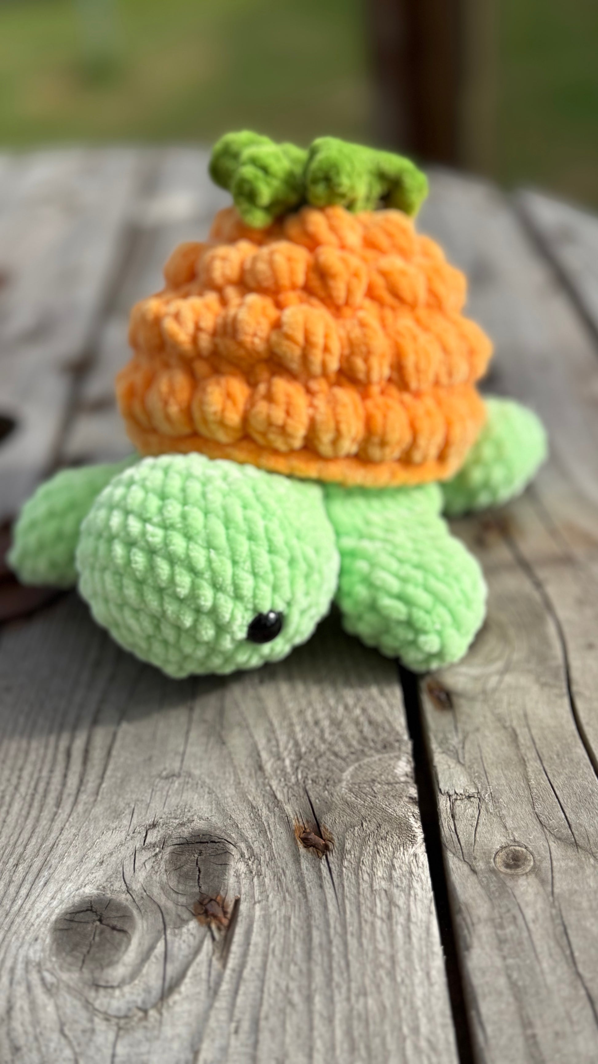🐢🍓 Frucht-Schildkröte – Süß, fruchtig und einzigartig