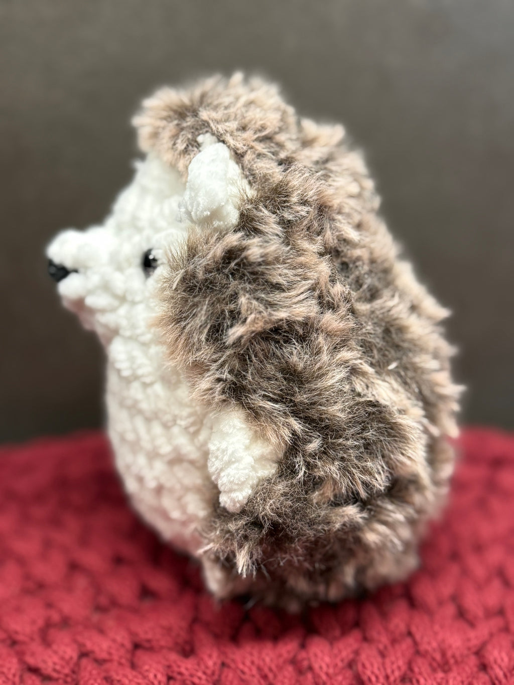 Kleiner Igel Fips 🦔