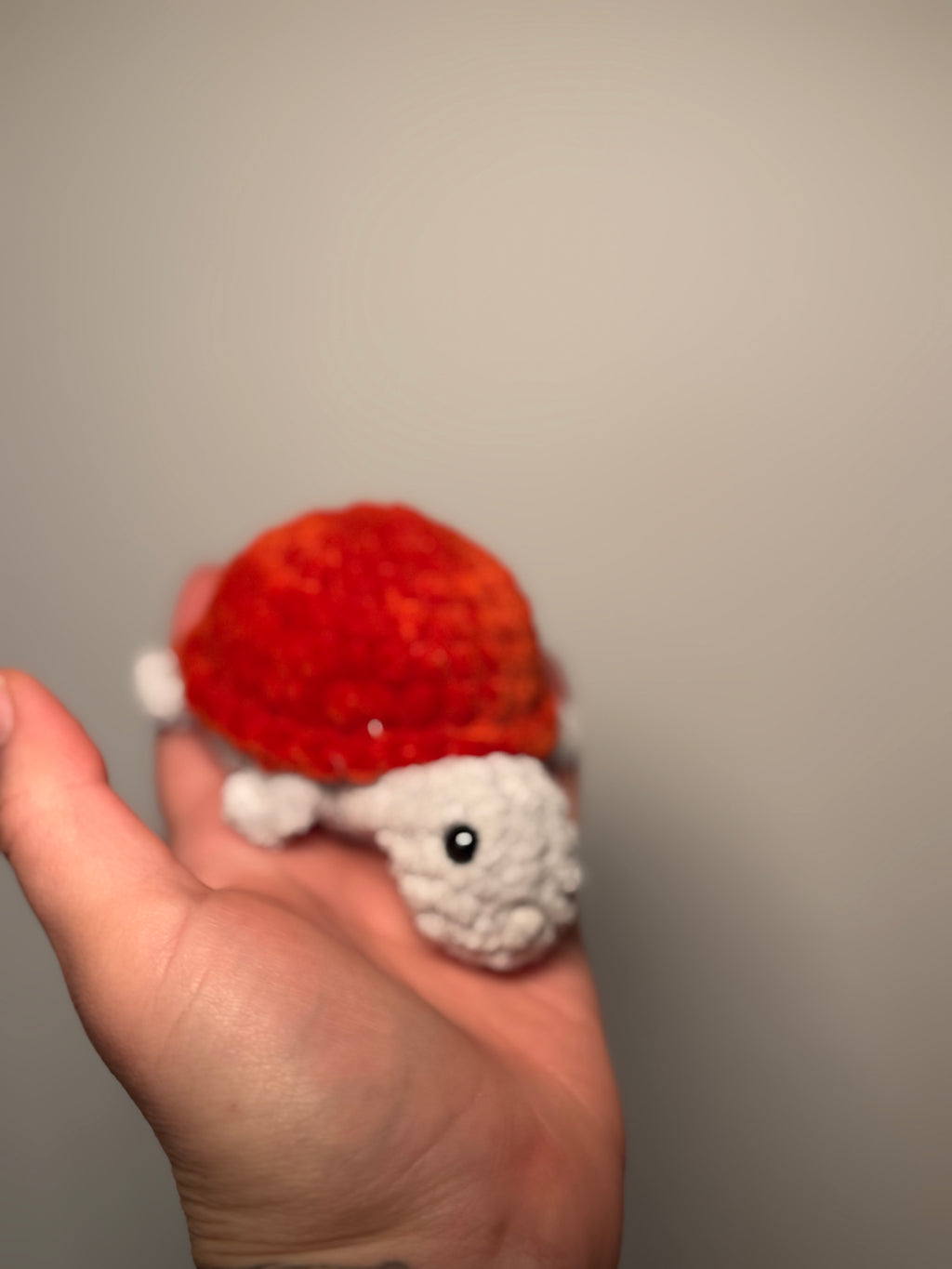 🐢 Schlüsselanhänger-Schildkröte „Tilda“ – kleines Amigurumi mit großer Reise