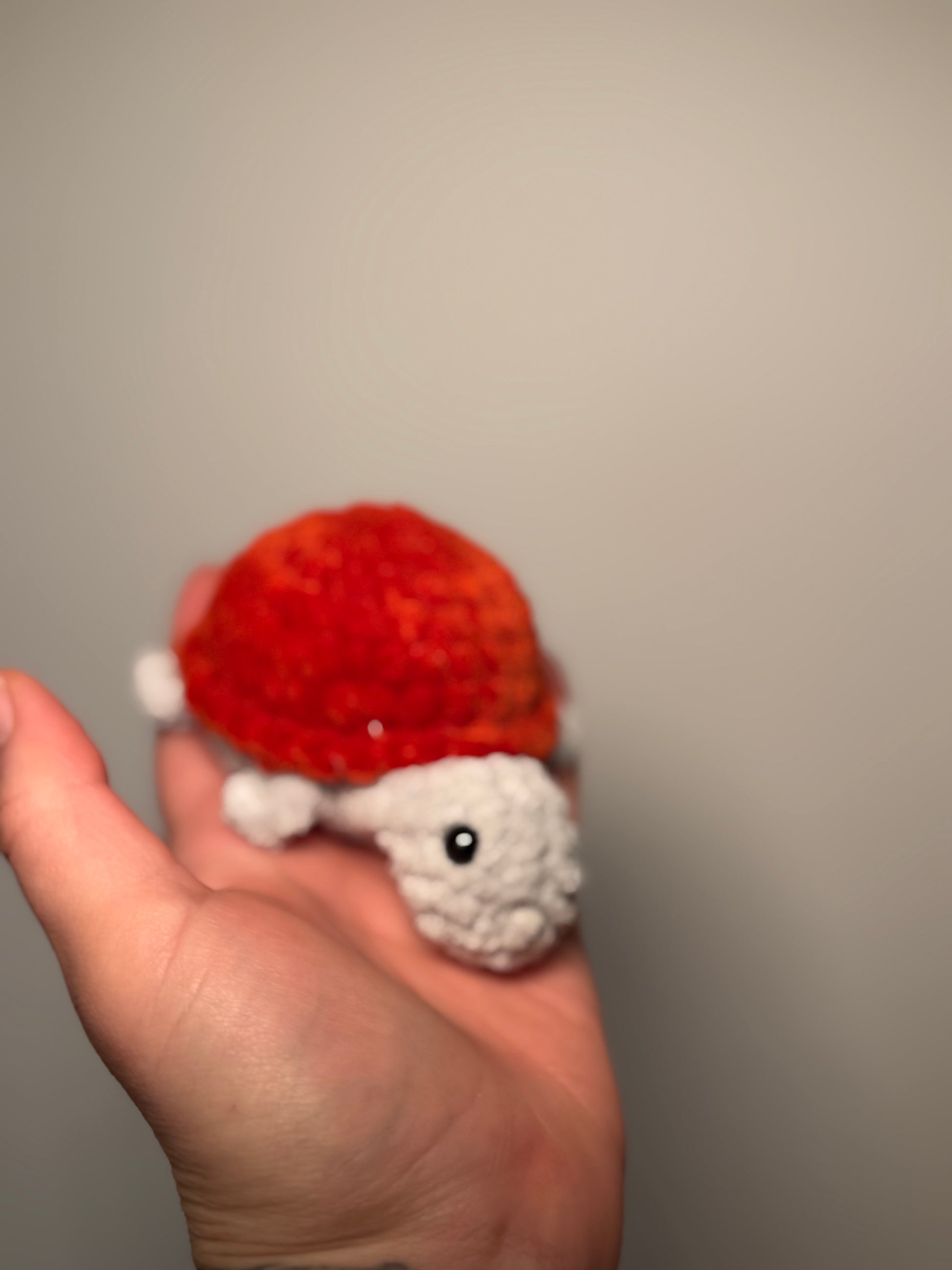 🐢 Schlüsselanhänger-Schildkröte „Tilda“ – kleines Amigurumi mit großer Reise