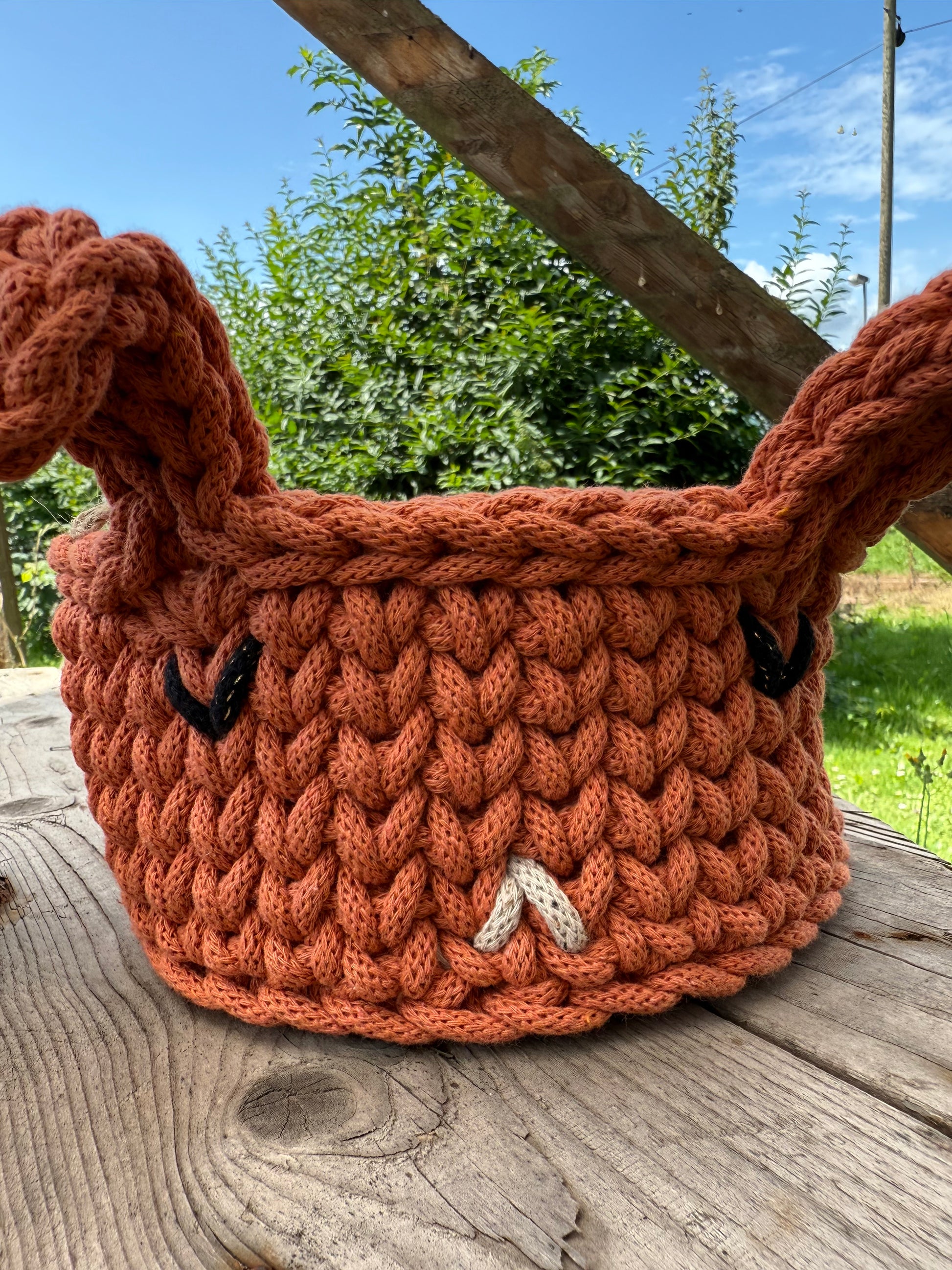 Hasenkörbe 🐰