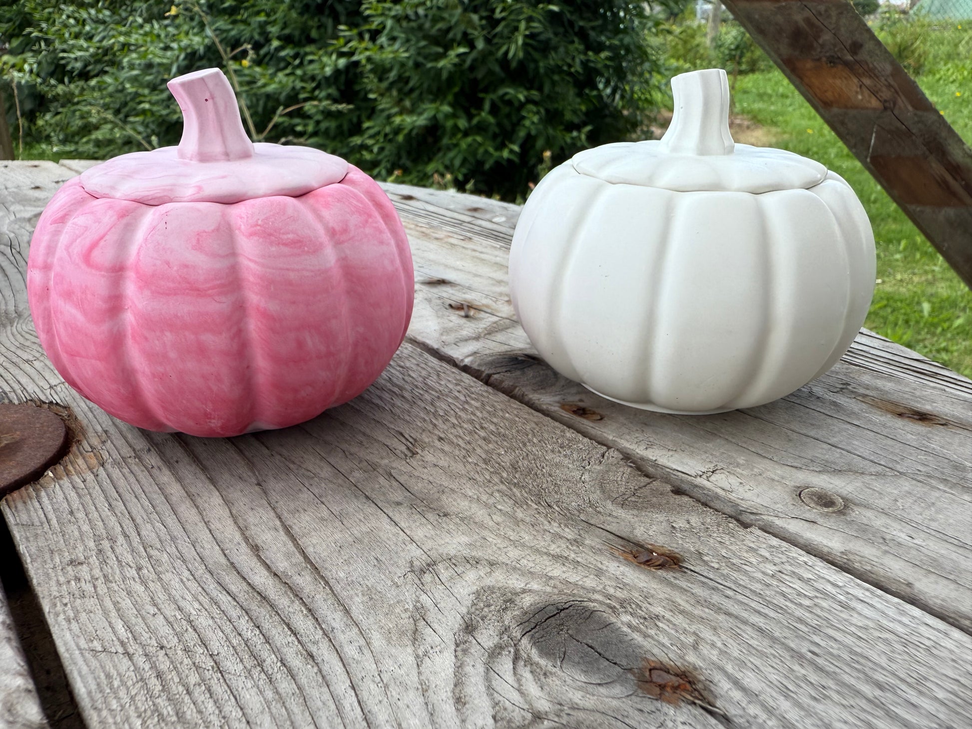 Kürbis Dosen 🎃