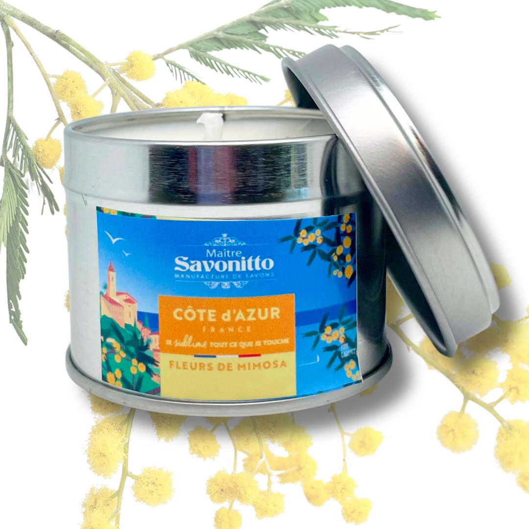 Kerze Mimosa X Côte d'Azur Frankreich
