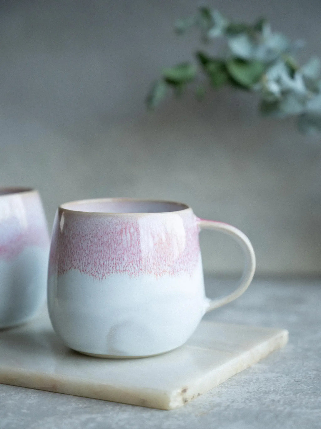Aurora Tasse
